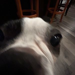 Meet your Posher, Kristina